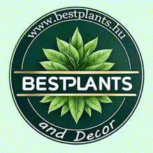 BestPlants