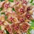 Hoya filiformis