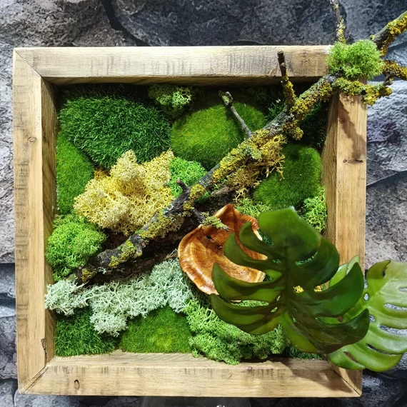 Gondozásmentes "élő festmény" 25,5x25,5 cm