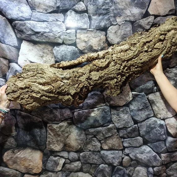 Parafa kéreg (90-120 cm)