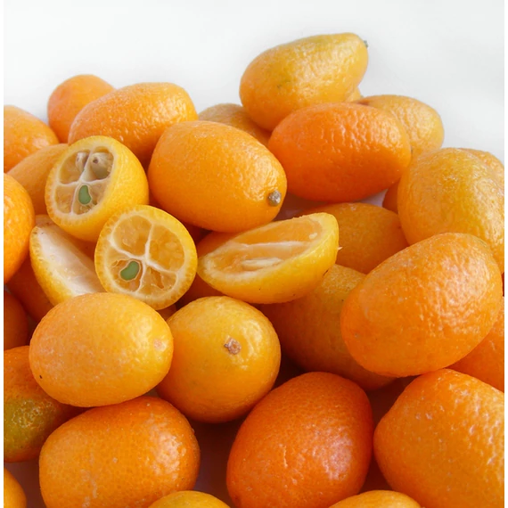 Citrus Fortunella margarita - kumquat
