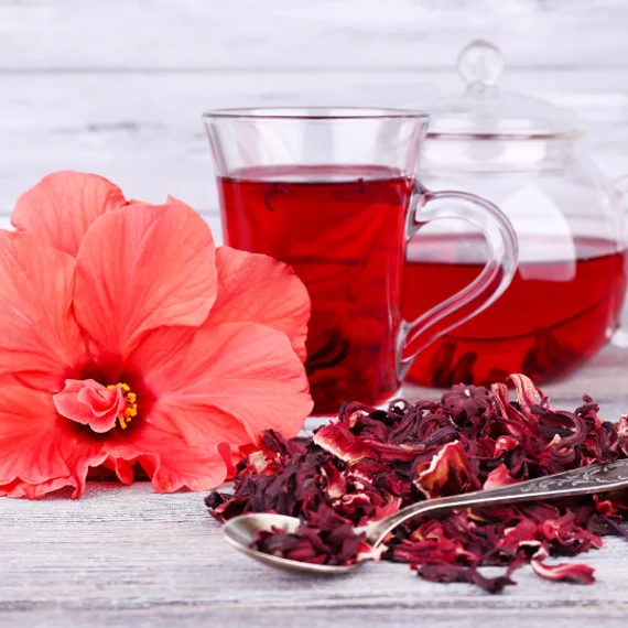 Tea hibiszkusz (Hibiscus sabdariffa)