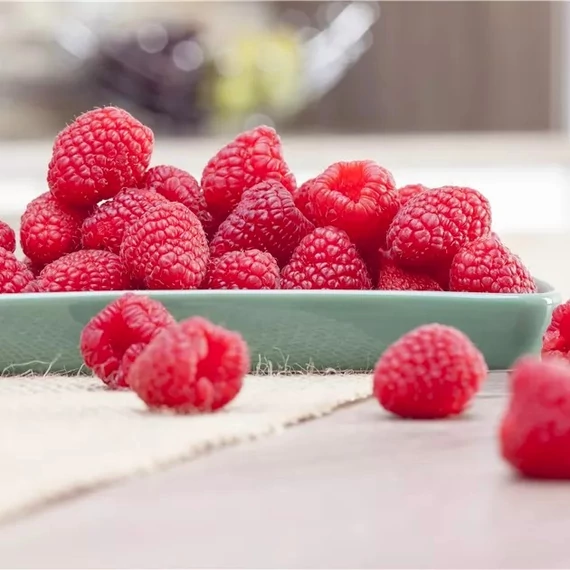 Rubus idaeus Primeberry® 'Autumn First' - őszi málna