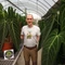 Anthurium warocqueanum