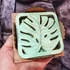 Kép 3/5 - Monstera poháralátét, tartóval (6 db alátét / csomag)