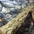 Kép 12/12 - Parafa kéreg (90-120 cm)