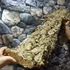 Kép 2/12 - Parafa kéreg (90-120 cm)