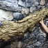 Kép 5/12 - Parafa kéreg (90-120 cm)