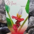 Kép 11/13 - Musa Velutina Pink