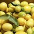 Kép 1/9 - Limequat Lara