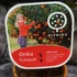 Kép 4/4 - Kumquat