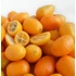 Kép 1/9 - Citrus Fortunella margarita - kumquat