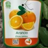 Kép 7/7 - Citrus sinensis 'Arancio Arcobal'