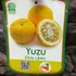 Kép 6/6 - Yuzu Citrus x Junos