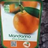 Kép 7/7 - Citrus Reticulata / Mandarin