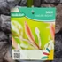 Kép 8/8 - Salix integra 'Hakuro Nishiki' - tarkalevelű japán fűz