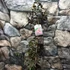 Kép 3/6 - Lagerstroemia 'Black Diamond Shell Pink'