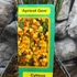 Kép 5/5 - Cytisus 'Apricot Gem'
