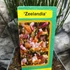 Kép 5/5 - Cytisus 'Zeelandia'