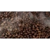 Kép 8/11 - Coffea Arabica (kávécserje)