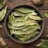 Kép 1/6 - Laurus nobilis / Nemes fűszer babér