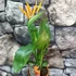 Kép 2/6 - Strelitzia reginae - pompás papagájvirág
