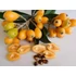Kép 7/10 - Eriobotrya japonica - japán naspolya