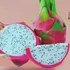 Kép 1/7 - Pitaya Hylocereus undatus / Sárkánygyümölcs