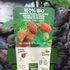 Kép 9/9 - Rubus loganobaccus 'Thornless'