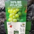 Kép 7/7 - Vitis vinifera 'Johanniter' - fehér szőlő