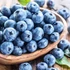 Kép 1/5 - Vaccinium corymbosum'Brigitta Blue' - kék áfonya