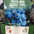 Kép 5/5 - Vaccinium corymbosum'Brigitta Blue' - kék áfonya