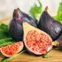 Kép 1/9 - Ficus Carica - füge
