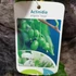 Kép 7/7 - Actinidia arguta 'Issai' - öntermékeny Kivi