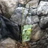 Kép 6/6 - Acer palmatum 'Ukigumo'