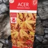 Kép 6/6 - Acer palmatum 'Cascade Ruby' - csüngő Japán juhar