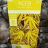 Kép 6/6 - Acer palmatum 'Cascade Citrine' - csüngő Japán juhar