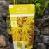 Kép 7/7 - Acer palmatum 'Cascade Gold'