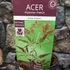 Kép 7/7 - Acer palmatum 'Inaba-shidare'