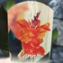 Kép 15/15 - Canna Wyoming