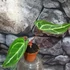 Kép 13/19 - Anthurium Crystallinum