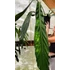 Kép 5/9 - Anthurium 'Big Bill'