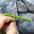 Kép 2/5 - Epipremnum pinnatum 'Happy Leaf' levél nélküli dugvány
