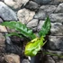 Kép 4/11 - Philodendron narrow escape