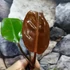 Kép 2/9 - Philodendron 'Red Sun' esztétikai hibás
