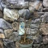 Kép 5/10 - Magnolia stellata