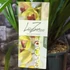 Kép 4/4 - Cymbidium 'Jaina' virág nélkül (Értékcsökkent)