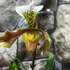 Kép 3/5 - Paphiopedilum 'USA Hybride' levirágzó