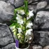 Kép 9/9 - Dendrobium MIX