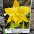 Kép 1/4 - Rlc. Hawaiian Passion 'Shining Star'